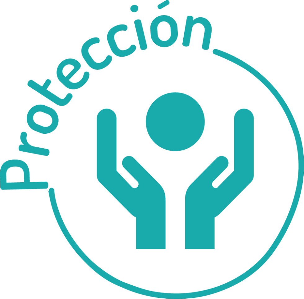 Grupo de Trabajo Protección RMRP 2022